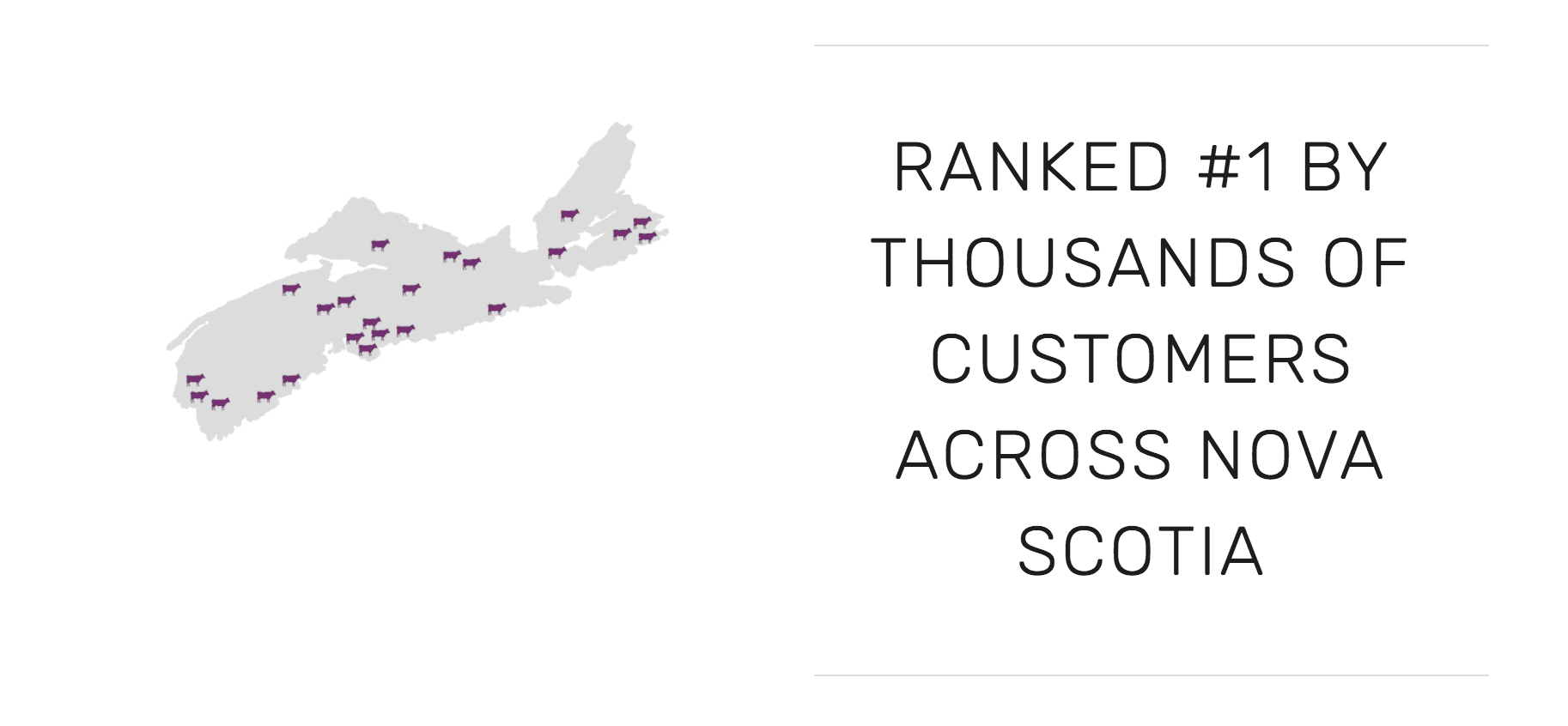 Map displaying "purple cows" across Nova Scotia enjoying purple cow internet.