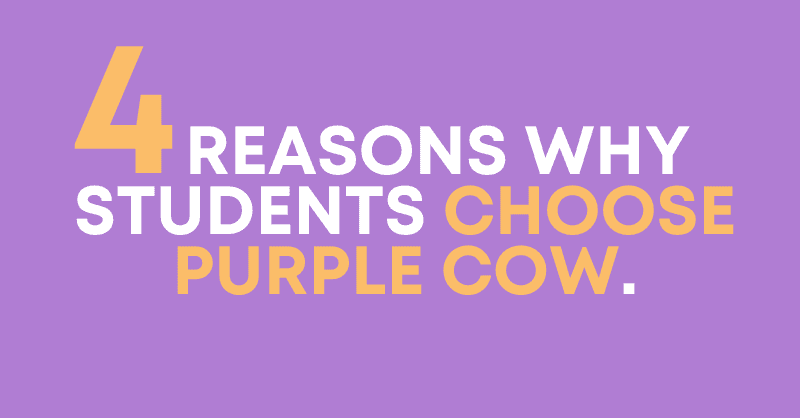 Four Reasons Why Students Choose Purple Cow