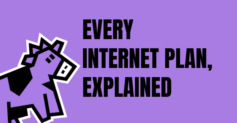 Every Purple Cow Internet Plan, Explained