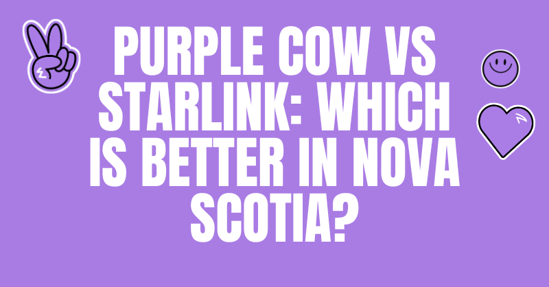Purple Cow vs Starlink: Which Is Better in Nova Scotia?